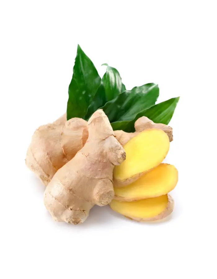 Ginger