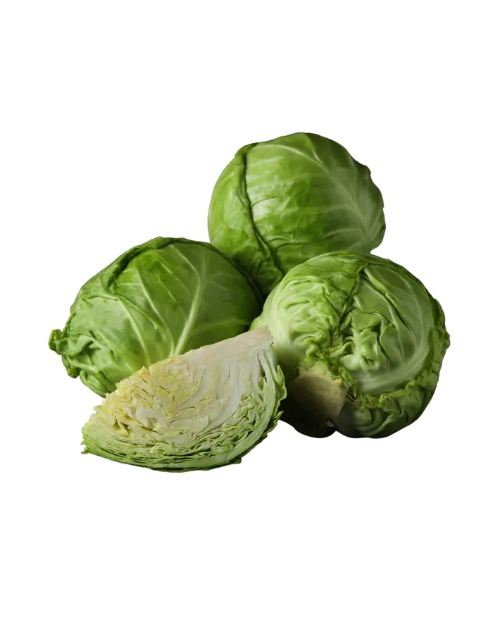 Cabbage