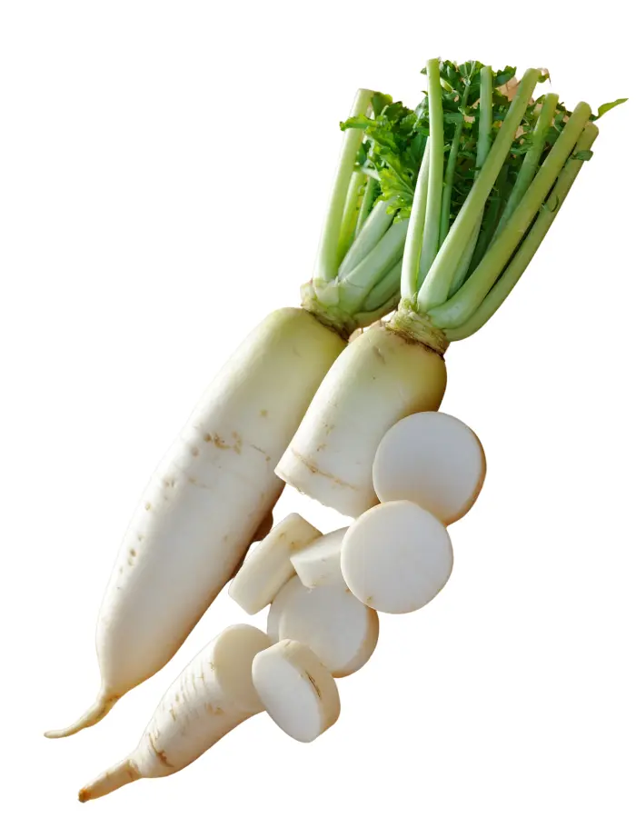 Radish