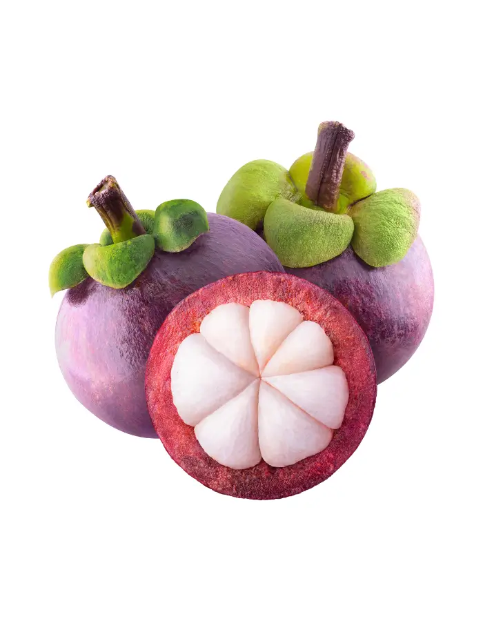 mangosteen